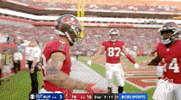 Tampa Bay Buccaneers Football GIF by NFL