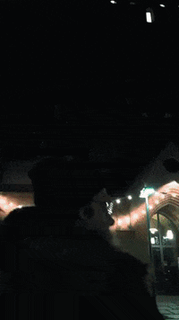 GIF by Jägermeister NL