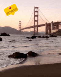 surbhikaushik beach sunset california waves GIF