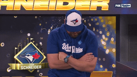 Blue Jays Sport GIF by MLB