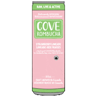 Strawberry Lime Sticker by Cove Kombucha