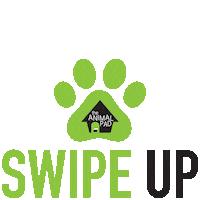 Dog Swipe Sticker by theanimalpad