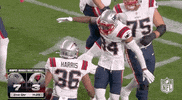 New England Patriots Football GIF by NFL