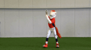 Denver Broncos Football GIF by Broncos