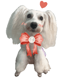 Dog Sticker