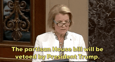 news senate hearing GIF