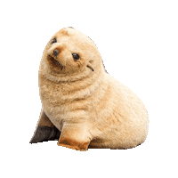 Sticker by erichamlet