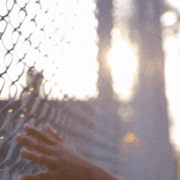 Gay Lgbt GIF by It Gets Better Project