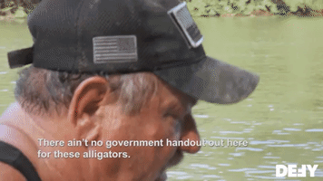 No Government Handouts For Alligators