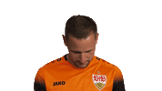Look Up Vfb Stuttgart Sticker by Bundesliga