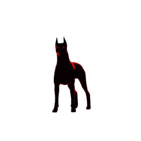 Danger Advertencia Sticker