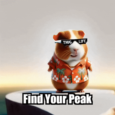 Wisdom Perspective GIF by Guinea Gambino