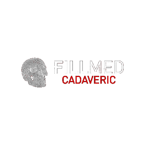 Fillmed Sticker by HBDERM