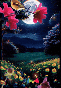 Amigos Flores GIF by Murcianys LLC