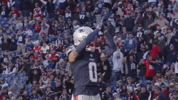 Football Nfl GIF by New England Patriots