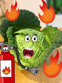 Fire Wirsing GIF