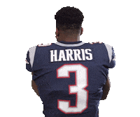 New England Patriots Football Sticker by NFL
