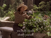 season 3 netflix GIF by Gilmore Girls 