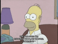 homer simpson episode 10 GIF
