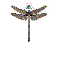 Gay Pride Rainbow Sticker by The Wild Curiosity