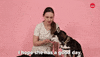 Dog GIF by BuzzFeed