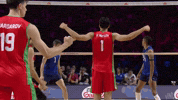 Flex Vnl GIF