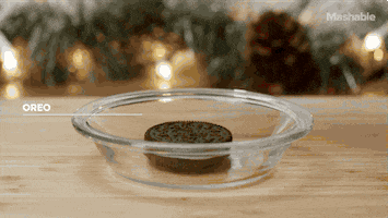 GIF by Mashable