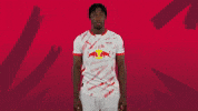 Sport Shrug GIF by RB Leipzig
