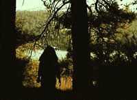 Waysides GIF by Bedouine