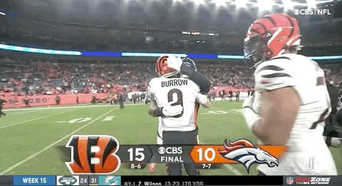 Cincinnati Bengals Hug GIF by NFL