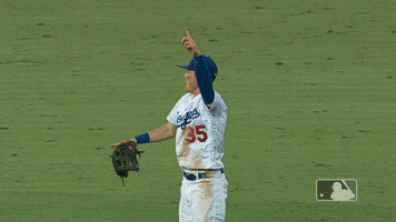 Los Angeles Dodgers Sport GIF by MLB