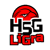 HSGLiGra handball hsg falke lilienthal Sticker