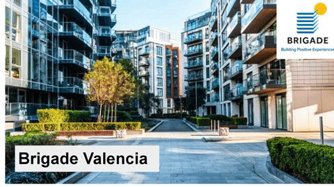 brigadevalencia giphyupload GIF