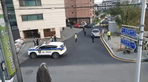 a0562ab096a24a46aad04ced9ce4af05 giphyupload GIF