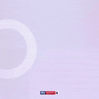 Football Soccer GIF by skysports