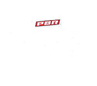 Nashville Sticker by Ariat