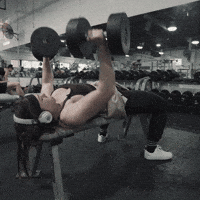 Weight Room Sport GIF by GYMREAPERS