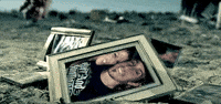 pink pink p!nk funhouse GIF