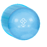 Fitness Workout Sticker by BOSU®