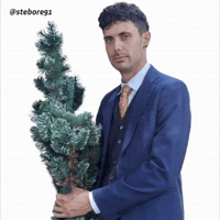 Merry Christmas Dancing GIF