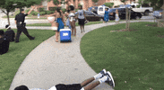 mckinney texas police brutality GIF by Mashable