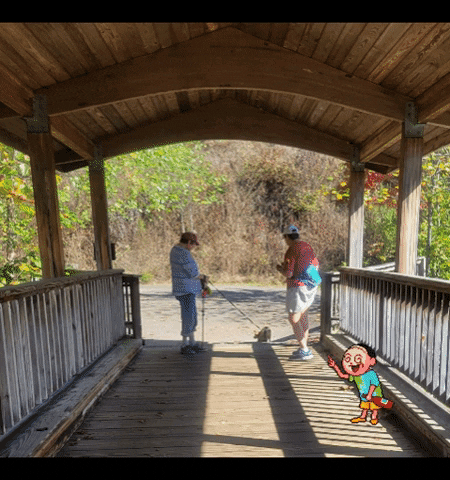 dem29910 giphygifmaker giphyattribution GIF