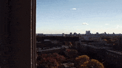 uwm GIF by UW-Milwaukee