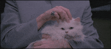 austin powers persian GIF