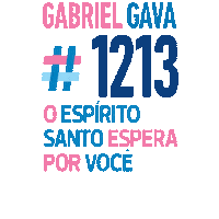 gabrielllgava gabriel deputado federal eleicao Sticker