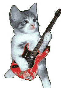 Cat Rock Sticker