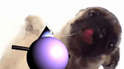 dog low poly GIF