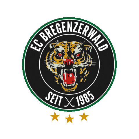 Logo Hockey Sticker by EC Bregenzerwald