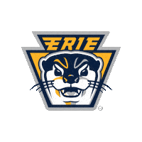 ottershockey ohl erie otters erie otters hockey otters hockey Sticker