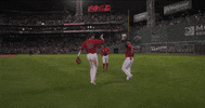 GIF by MLB